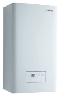 Газовый котел Protherm