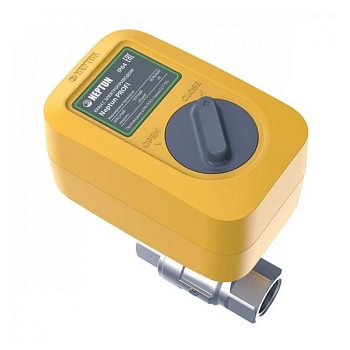 Кран с электроприводом Neptun PROFI 12В 11/4 (Россия)